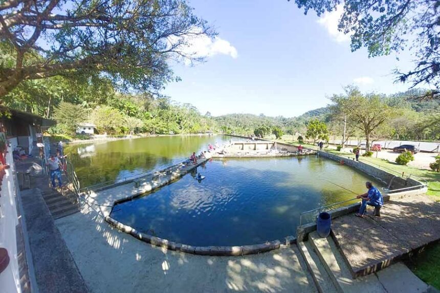 Pesqueiro São José: Turismo, Paz e Gastronomia no Arraial do Ouro