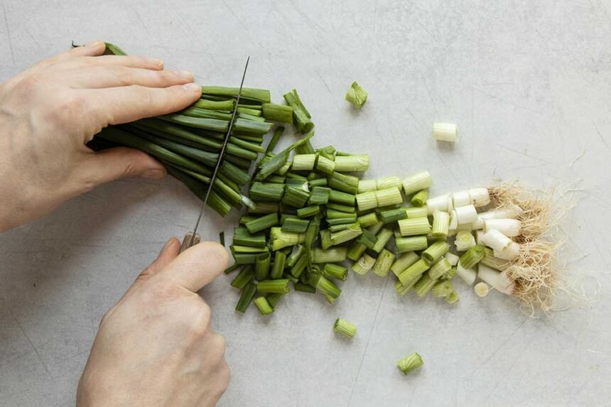 Benefícios da Cebolinha Arraial do Ouro Gaspar