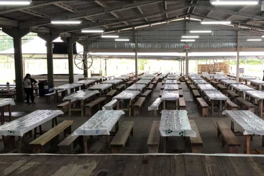 Programação Festa Nossa Senhora Aparecida