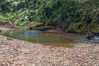 Pedreira Meis Arraial do Ouro Gaspar