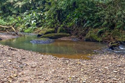 Pedreira Meis Arraial do Ouro Gaspar