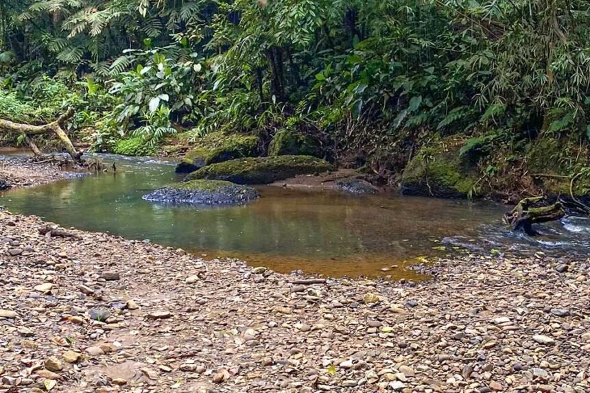Pedreira Meis Arraial do Ouro Gaspar